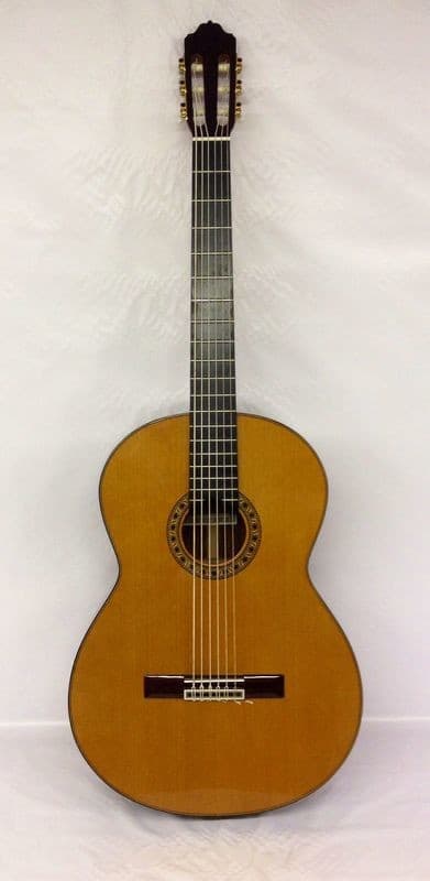 Estevé PS70 - 6 String Baritone Guitar - Quint Bass - All Solid/Cedar/Indian Rosewood - 700mm