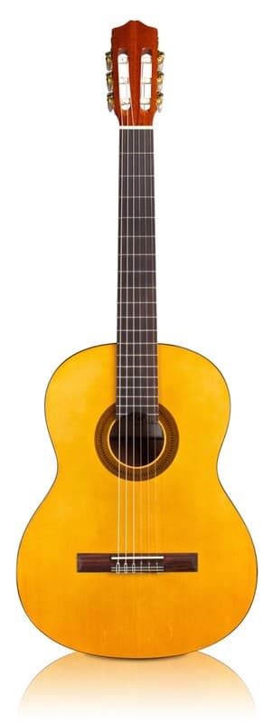 Cordoba C1 Protege - Full Size Classical Guitar