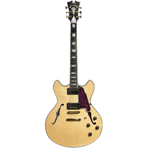 D'Angelico EX-DC features
