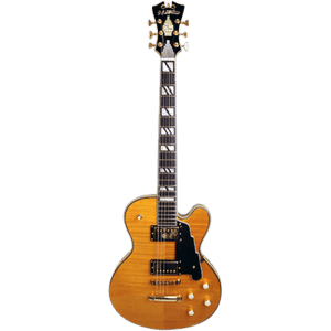 D'Angelico NYSD 9 Features