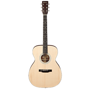 Eastman E60M Features