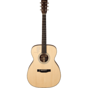 Eastman E80M Features