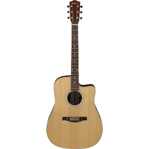 Eastman AC220CE Features