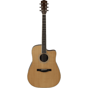 Eastman AC320CE Features