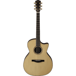 Eastman AC722CE Features