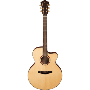 Eastman AJ616CE Features