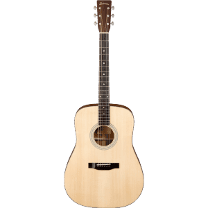 Eastman E10D Features