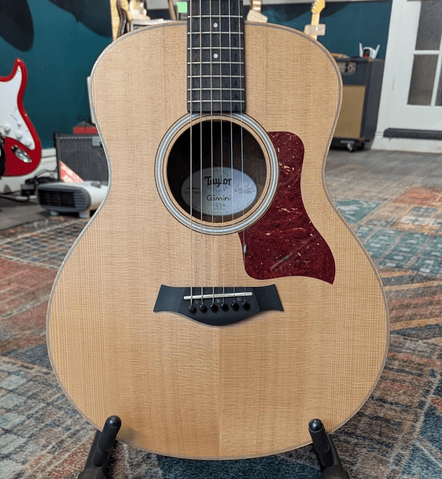 Taylor GS mini-e