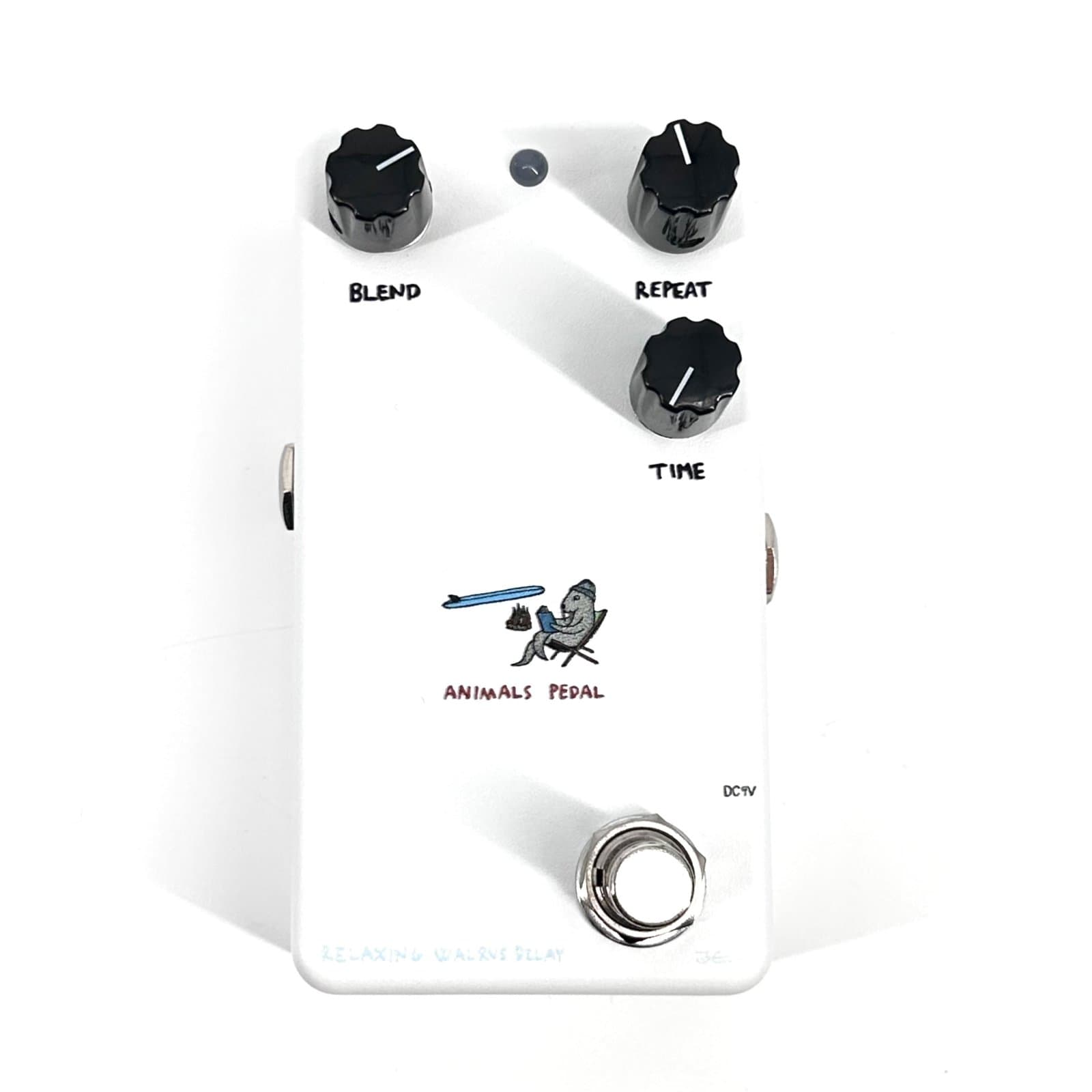 Animals Pedal Relaxing Walrus Delay