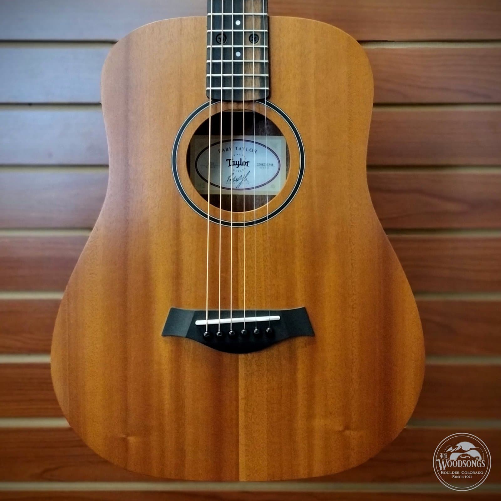 Taylor BT2 Mahogany