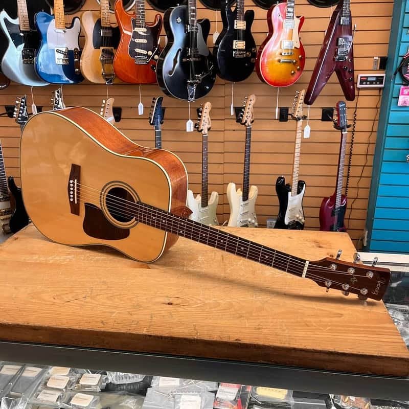 Ibanez AW10 Acoustic Guitar