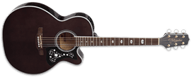 Takamine GN75CE  TBK Transparent Black 6-String Acoustic Electric Guitar