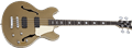 Schecter DIAMOND SERIES Corsair Bass Metallic Gold 4-String Electric Bass Guitar