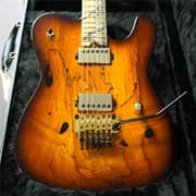 DEAN USA Custom Shop Nash Vegas Floyd Spalted Maple Top   6-String Electric Guitar