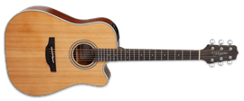 Takamine GD20CE  Natural 6-String Acoustic Electric Guitar