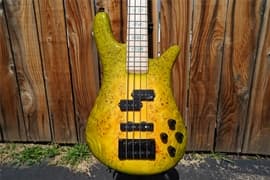 Spector USA NS-2 Maple Burl Super Bloom   4-String Electric Bass Guitar