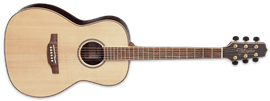 Takamine GY93 Natural New Yorker Parlor 6-String Acoustic   Guitar