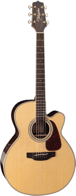 Takamine Série G GN90CE ZC