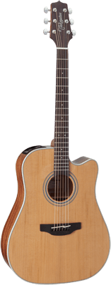 Takamine Série G GD20CE NS Dreadnought