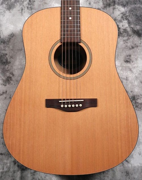 Seagull S6 Collection 1982