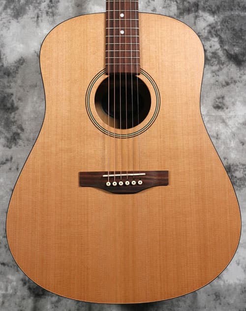 Seagull S6 Collection 1982