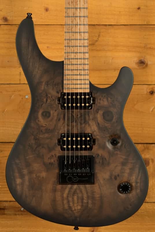 Mayones Regius 4Ever 6 - Birdseye Maple - Trans Natural Black Burst Satin