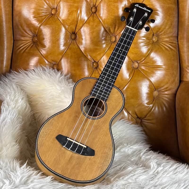 2018 Breedlove Pursuit Ex CU S Natural Myrtlewood Concert Ukulele!