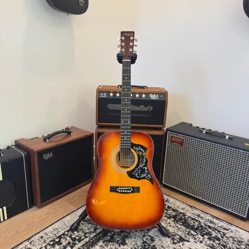 Harmony Hummingbird 01010 Acoustic - Sunburst