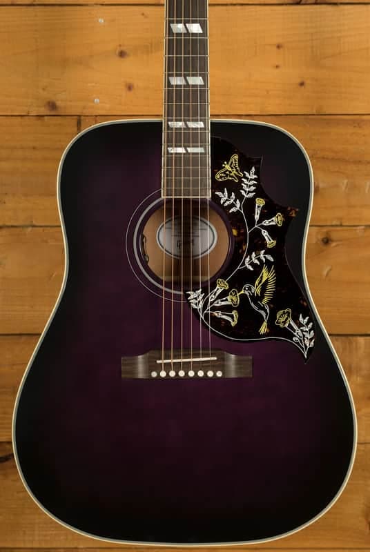 Gibson Hummingbird Standard | Purple Burst