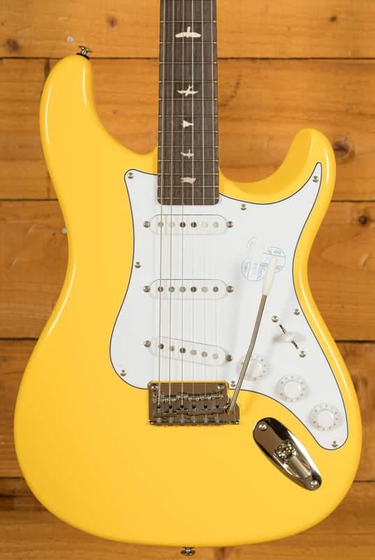 PRS SE Signature | SE John Mayer Silver Sky Rosewood - Dandy Lion