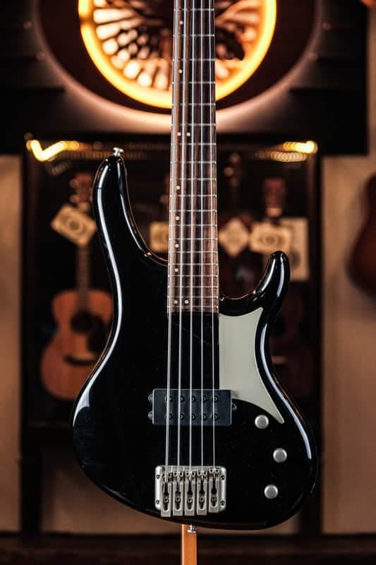 2000 Washburn RB2500 5-string Bantam Series black