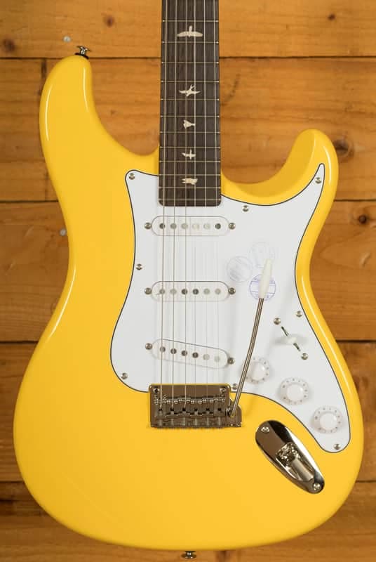 PRS SE Signature | SE John Mayer Silver Sky Rosewood - Dandy Lion