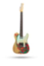 New Fender Jimmy Page Signature Telecaster Natural
