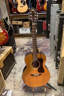 1981 Guild F30