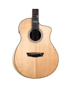 Washburn Bella Tono Studio 56 CE Acoustic Guitar TGF33