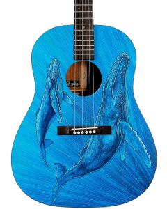 Martin DSS Biosphere II Acoustic Guitar w/SS TGF33