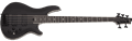 Schecter DIAMOND SERIES SLS Evil Twin-5 Satin Black 5-String Electric Bass Guitar